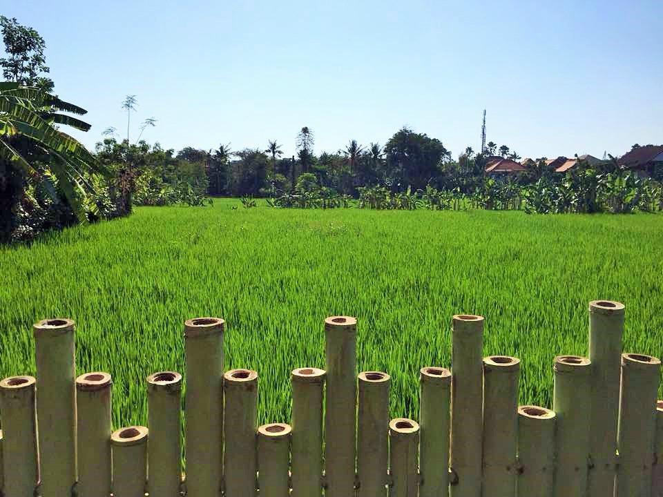Bali Green Hostel เซมินยัค ภายนอก รูปภาพ