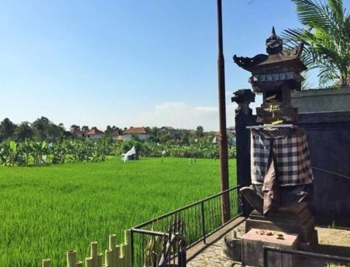 Bali Green Hostel เซมินยัค ภายนอก รูปภาพ
